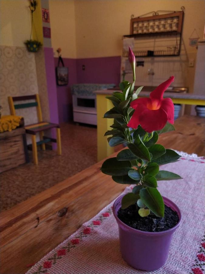 Hostel Tiradentes Εξωτερικό φωτογραφία