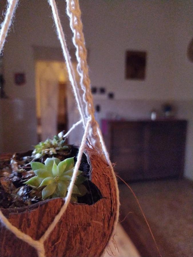 Hostel Tiradentes Εξωτερικό φωτογραφία