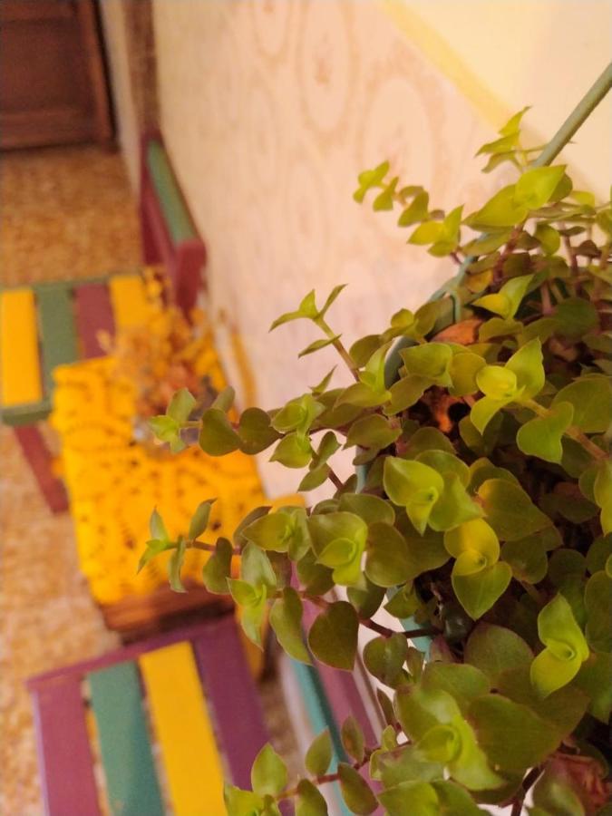 Hostel Tiradentes Εξωτερικό φωτογραφία