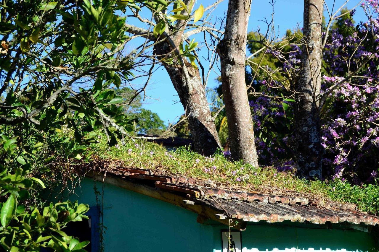 Hostel Tiradentes Εξωτερικό φωτογραφία